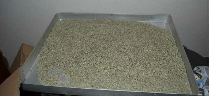 Bonzai Taşıyan Aile Gümrüğe Takıldı