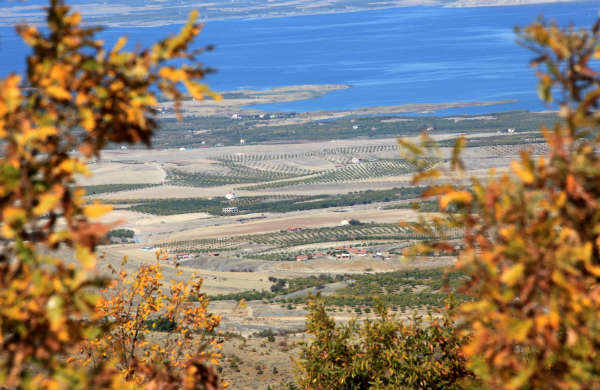 Beydağına Dikilen 682 Bin Fidanla Malatya Yeşil Bir Taç Kazandı