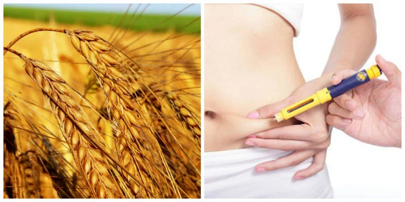 “TAHILLAR VE BUĞDAY ZARARSIZDIR ATALARIMIZ BUNLARLA BESLENDİ UZUN YAŞADILAR”    diyenlere !