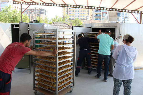 Yüksek kaliteli kayısı için toplanılacak