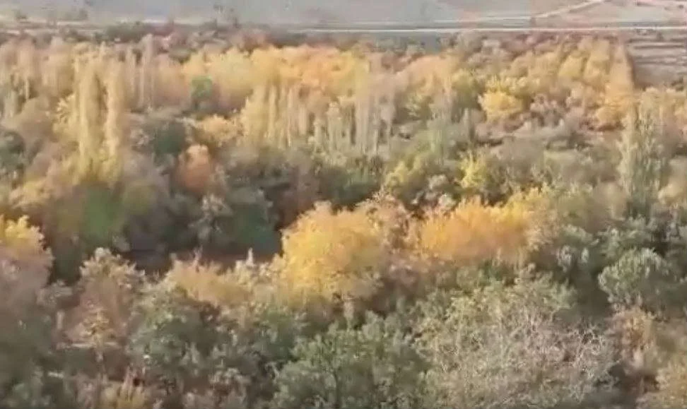 Horota Vadisi Projesi İptal Edildi, fakat Malatya Büyükşehir Belediyesi, Yeşili yok etmek için İmar Şeklini Değiştiriyor.