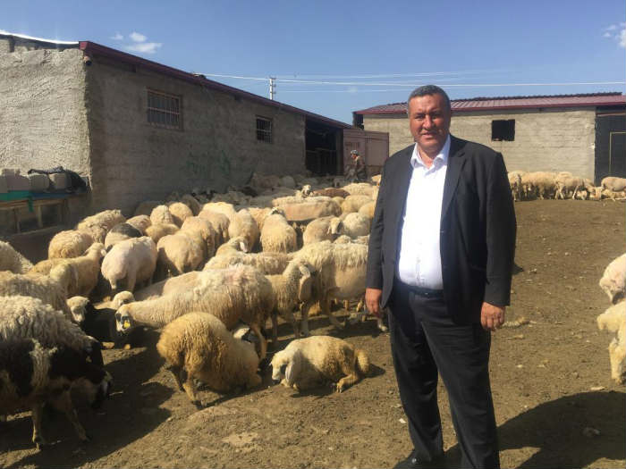 Küçükbaş hayvan yetiştiricileri CHP Milletvekili Gürer’e dert yandı…  