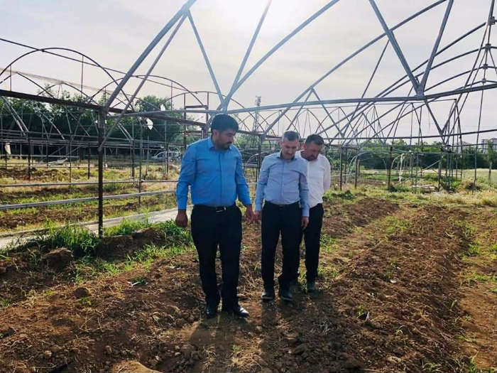 Çınar : ‘Yeşil Gıda Seracılık’ alanımızda meyve, sebze ve süs bitkisi ürünlerini yetiştirmeye başladık.
