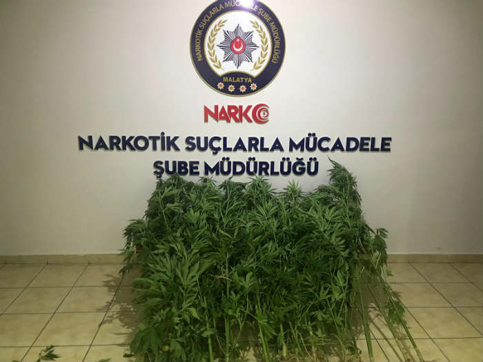 Malatya’da Ecstasy, ve Bonzai Ham Maddesi Ele Geçirildi