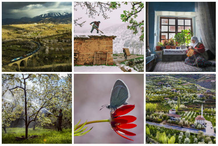 ‘Yeşilyurt Çiçek Açtı’ isimli ulusal fotoğraf yarışmasında dereceye giren eserler belli oldu