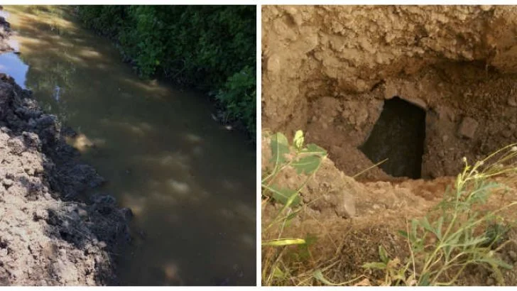 Malatya’da Kanalizasyon suyunu tarımda kullanıyorlar, Halk Sağlığını Tehdit Ediyorlar