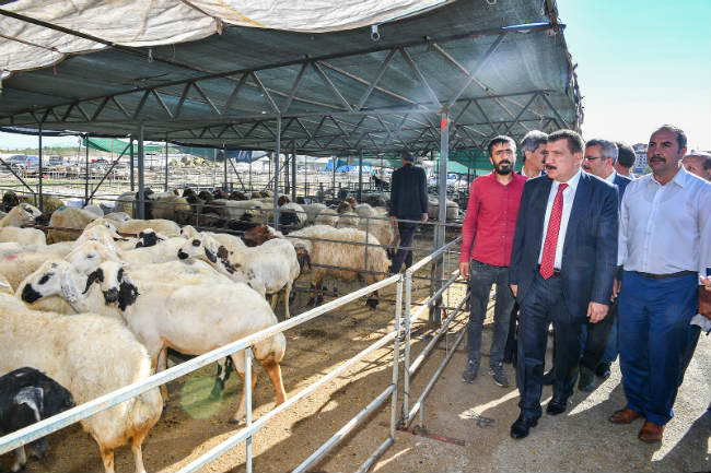 Malatya Canlı Hayvan Pazarında Hijyen kurallarına dikkat ediliyor