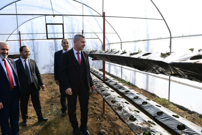 ‘Yeşil Gıda Seracılık’ alanında topraksız çilek üretimine başlandı.