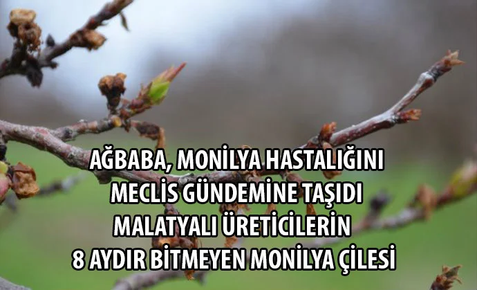 Malatyalı Üreticilerin 8 Aydır Bitmeyen Monilya Çilesi