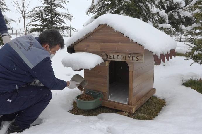 Can Dostlarımıza Sahip Çıkmak, Vicdani Bir Sorumluluktur