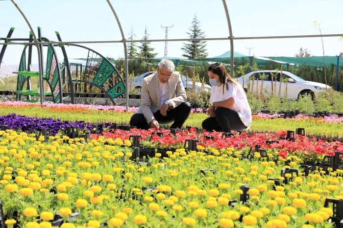 Özel sera alanında kendi ürettiği 52 bin adet çiçek ve süs bitkilerini ilçenin birçok noktasında toprakla buluşturdu.