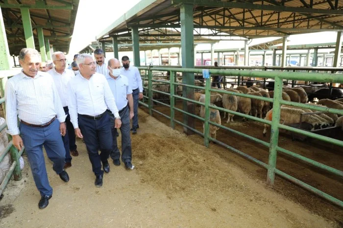 Battalgazi Belediye Başkanı Osman Güder, kurban bayramı öncesi kurbanlık satışı yapılan Canlı Hayvan Pazarını ziyaret ederek, alıcı ve satıcılarla uzun sohbet etti.