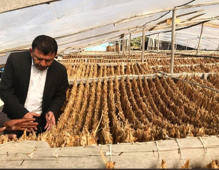 Ağbaba;”Cumhur İttifakı bir taraftan yerli-milli söylemleri ile göz boyarken, diğer taraftan yerli ve milli tütün üreticilerini hapse atmak istiyor.