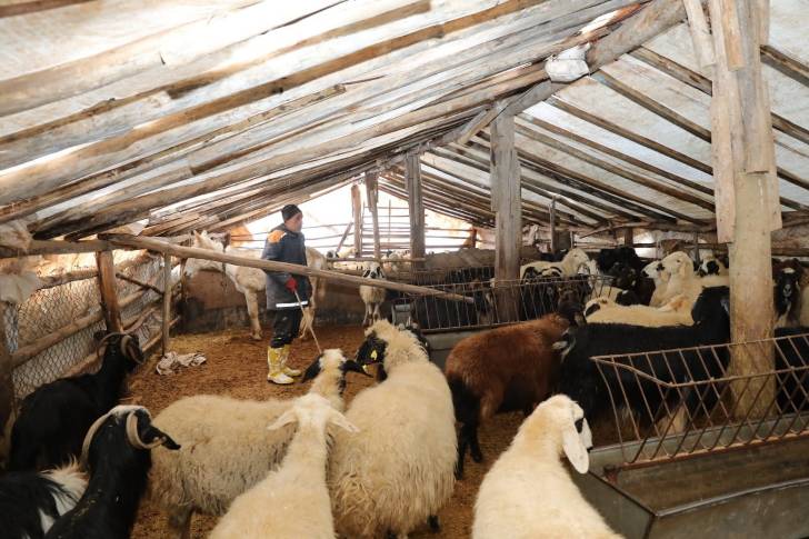 Beydağı’nı Aşan Battalgazi Belediyesi Ekipleri , Üreticileri ve Hayvanları Kurtardı