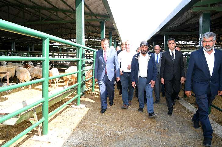 Başkan Gürkan Canlı Hayvan Pazarında incelemelerde bulundu