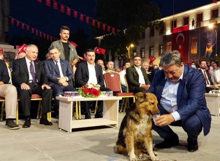 Malatya’nın maskotu protokol köpeği Milletvekili Fendoğlu’nun elinden su içti