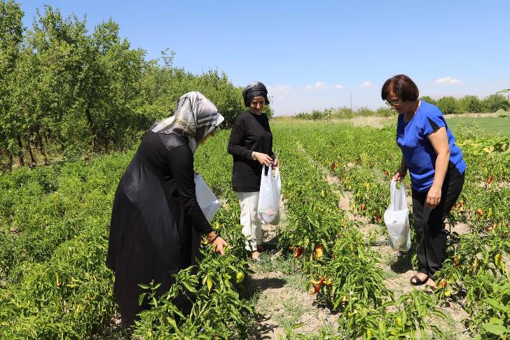 Battalgazi ilçesinin kadın muhtarları, üretim yapan kadınlara omuz verdi