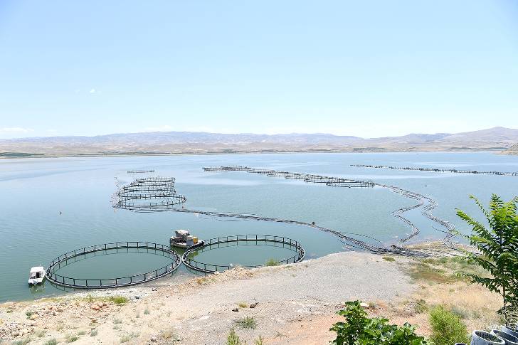 Malatya’da Tarıma Dayalı Su Ürünleri Yetiştiriciliği OSB kuruluyor