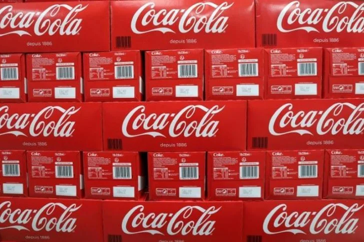 Coca-Cola ve Teşvikler: Ekonomik Kalkınma mı, Uluslararası İlişkiler mi?