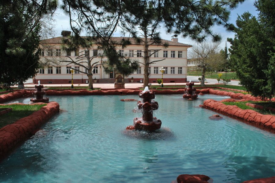 Milyonluk Taylar Yollarda Telef Oldu, Sorumluluk Hâlâ Net Değil